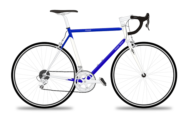 racing-bicycle-161449_640