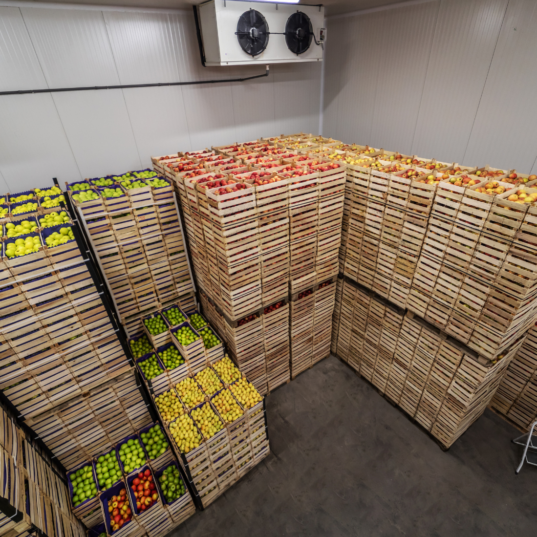 Untitled design (23)